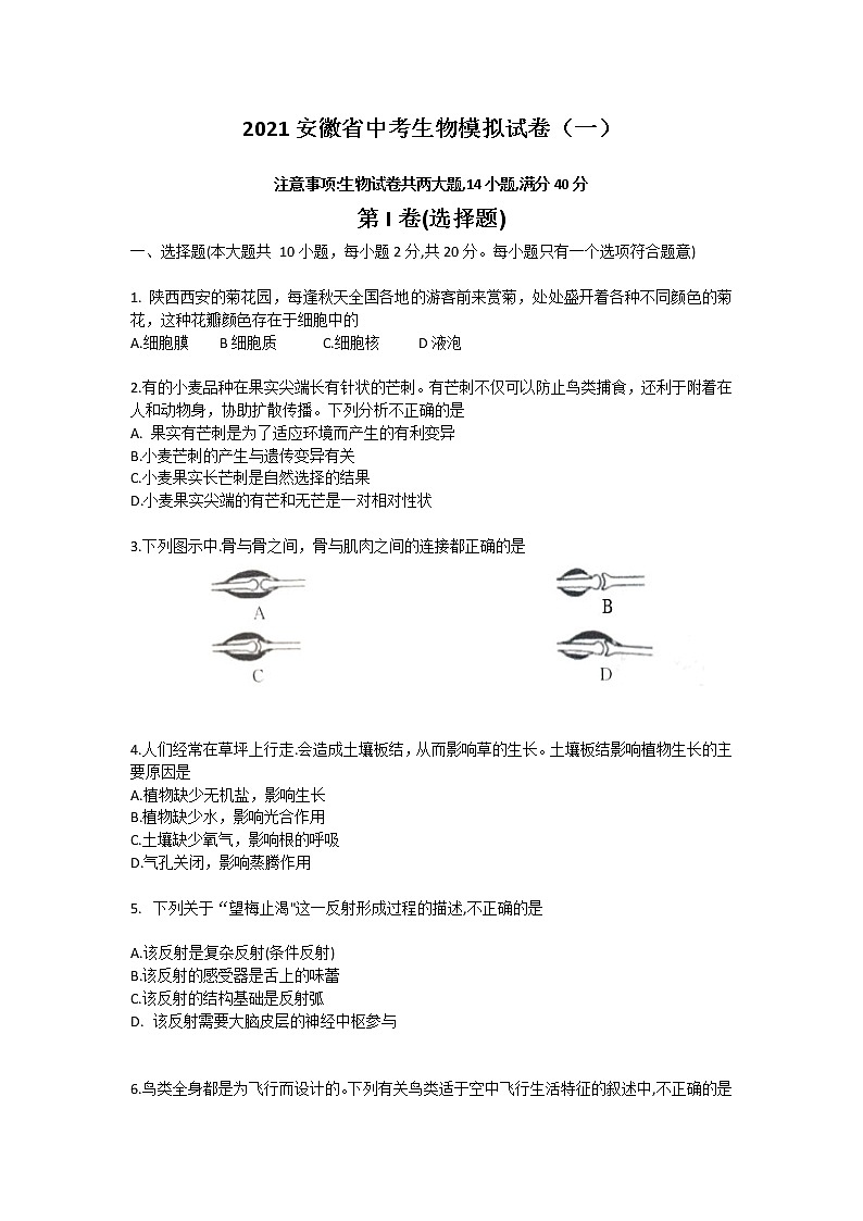 2021年安徽省中考生物模拟卷（word版 含答案）01