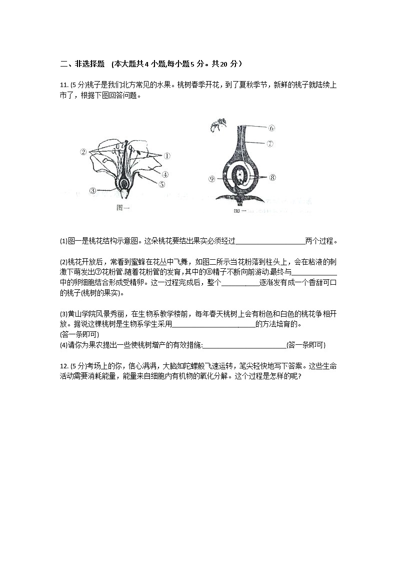 2021年安徽省中考生物模拟卷（word版 含答案）03