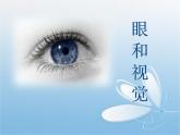 人教版生物七年级下册4.6.1 人体对外界环境的感知 课件