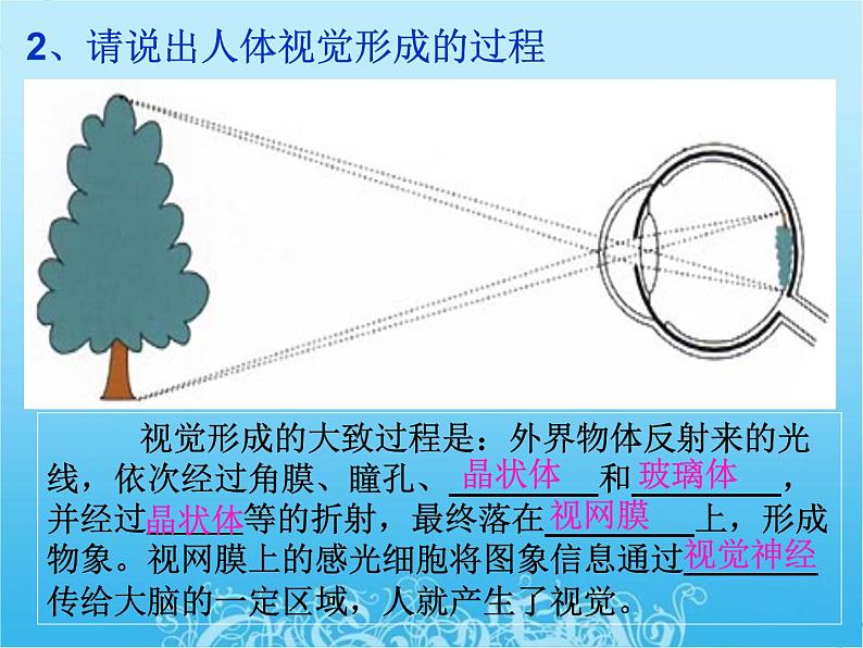 人教版生物七年级下册4.6.1 人体对外界环境的感知 课件第8页