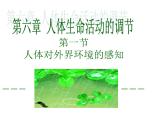 人教版生物七年级下册4.6.1 人体对外界环境的感知 课件（33张PPT）