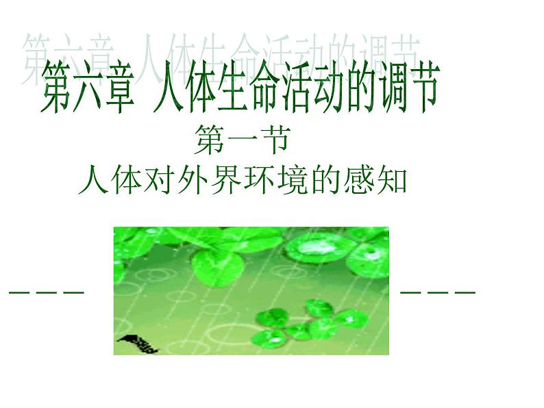 人教版生物七年级下册4.6.1 人体对外界环境的感知 课件（33张PPT）第1页