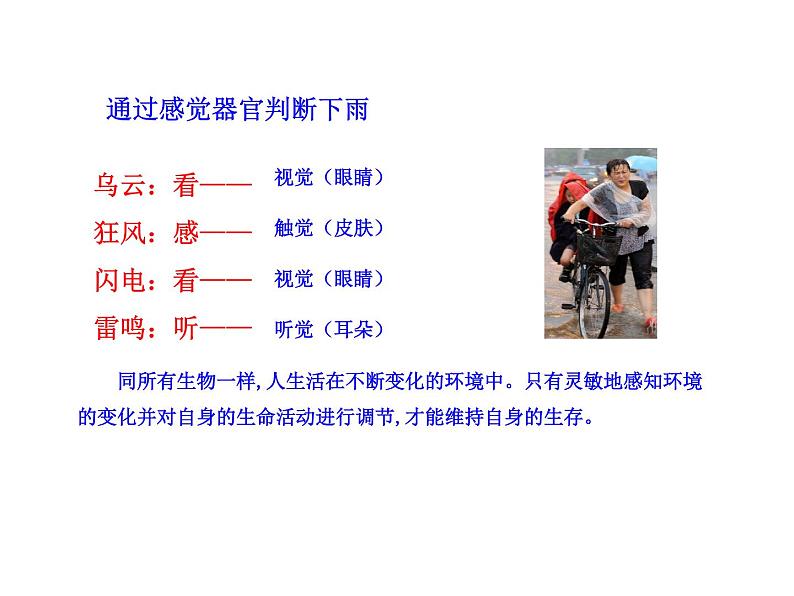 人教版生物七年级下册4.6.1 人体对外界环境的感知 课件（33张PPT）第5页