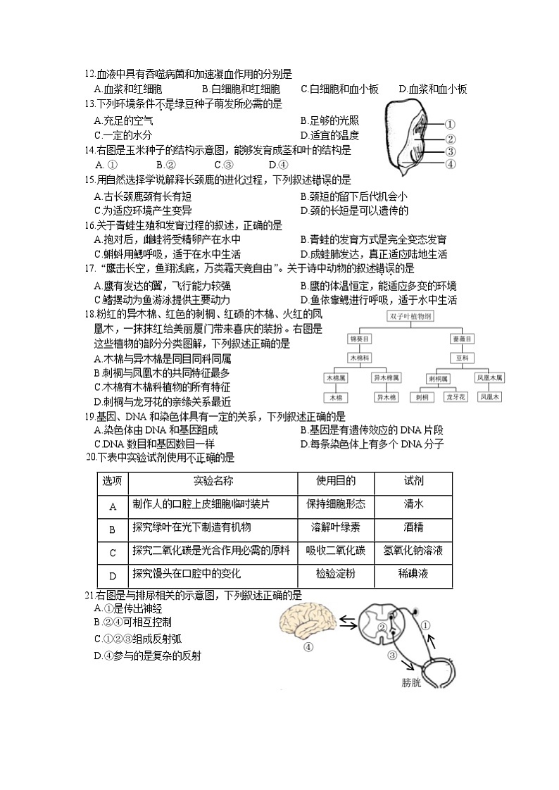 2021年福建省厦门市初中毕业班教学质量检测生物试卷(Word,含答案)02