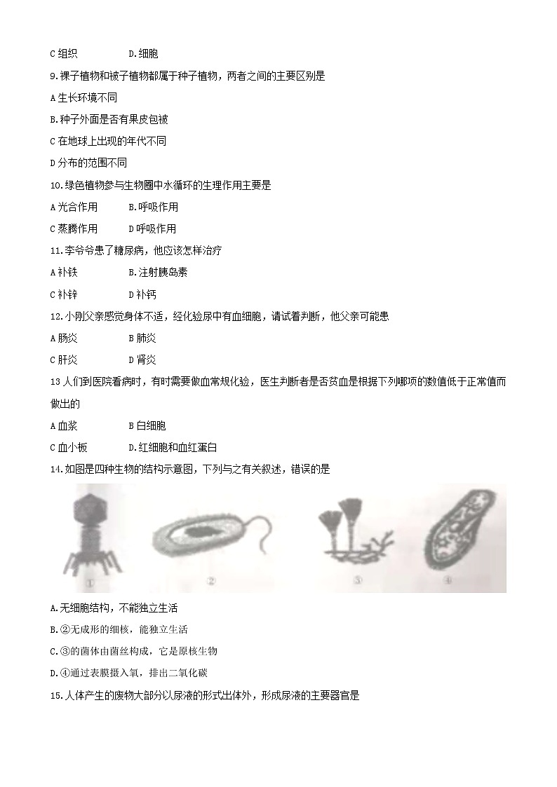 2021年黑龙江省绥化市结业测试模拟大考卷（二）生物试题(Word,含答案)02