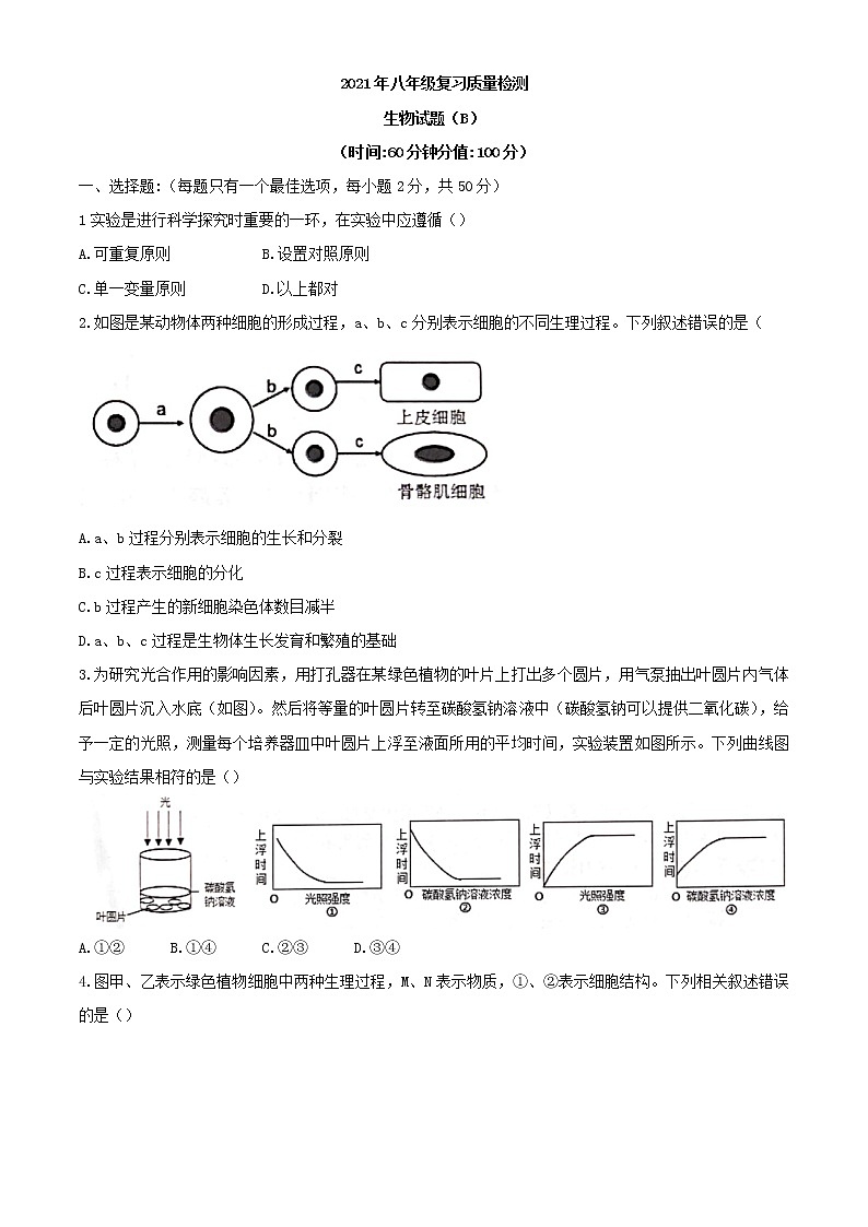 2021年山东省滨州市滨城区中考二模生物试题(Word,含答案)01