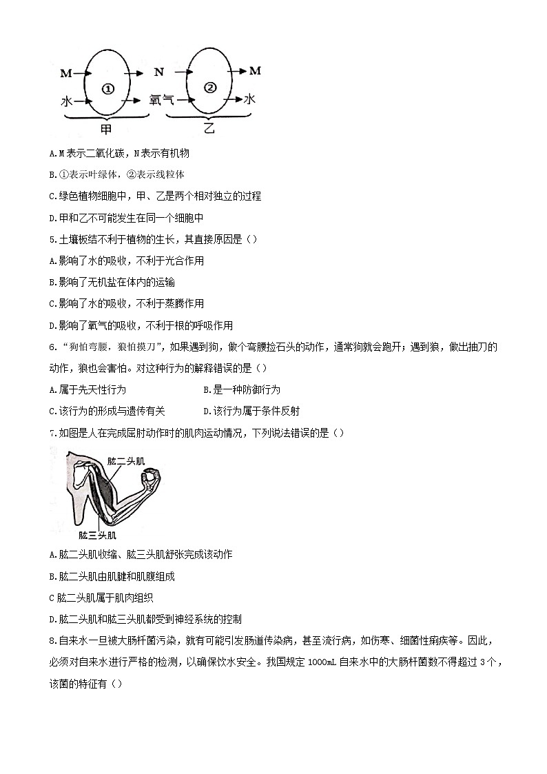 2021年山东省滨州市滨城区中考二模生物试题(Word,含答案)02
