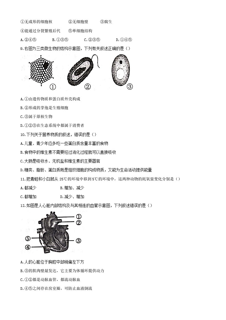 2021年山东省滨州市滨城区中考二模生物试题(Word,含答案)03
