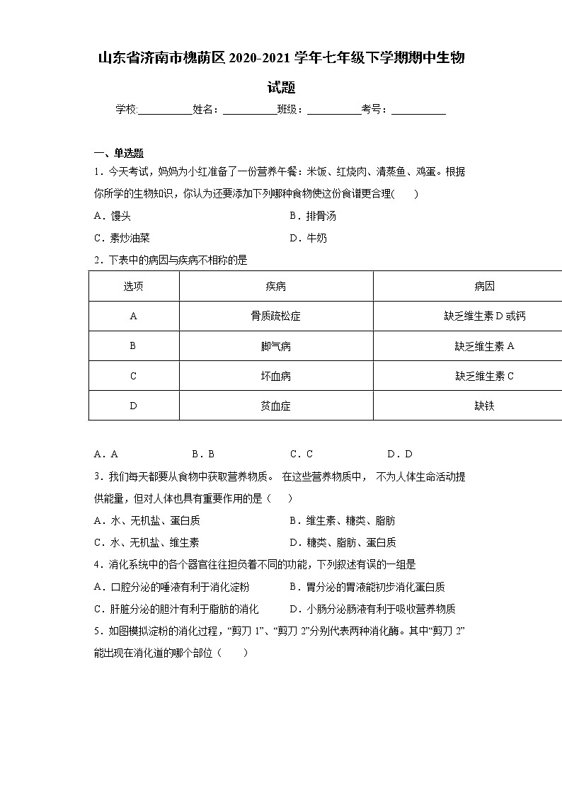 山东省济南市槐荫区2020-2021学年七年级下学期期中生物试题（word版 含答案）01