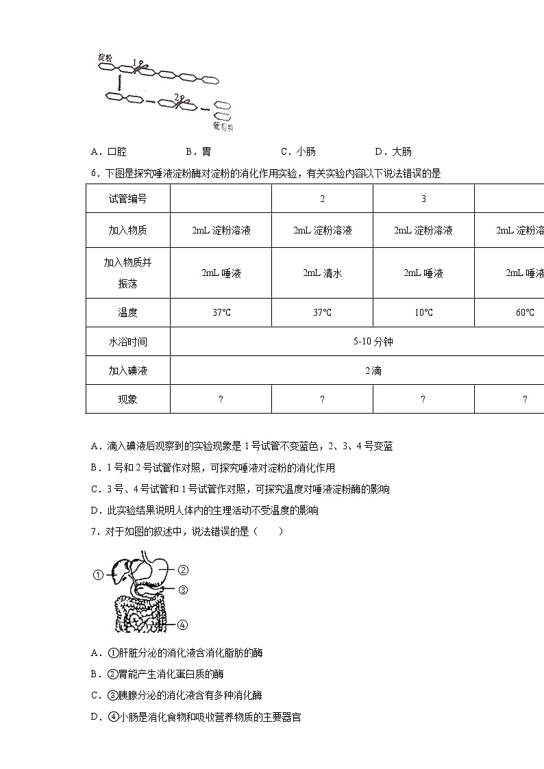 山东省济南市槐荫区2020-2021学年七年级下学期期中生物试题（word版 含答案）02