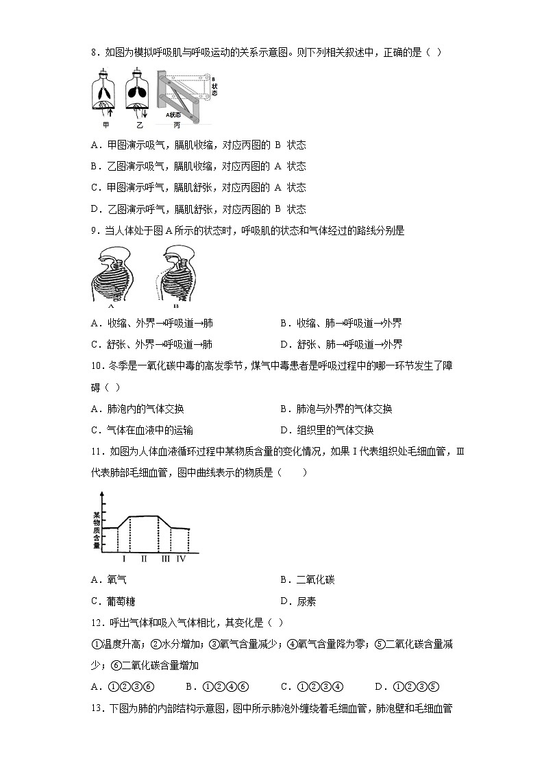 山东省济南市槐荫区2020-2021学年七年级下学期期中生物试题（word版 含答案）03