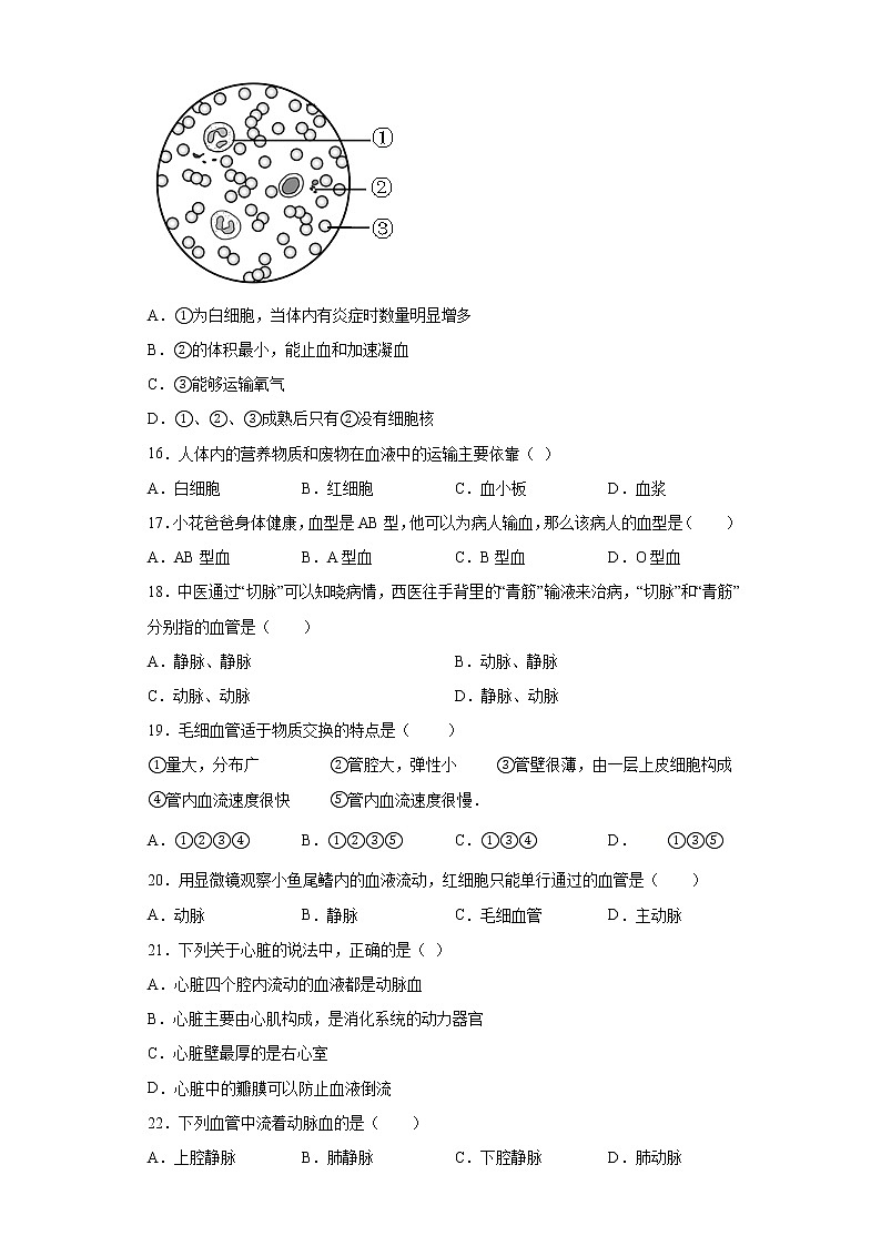 江苏省东台市2020-2021学年七年级下学期期中生物试题（word版 含答案）03