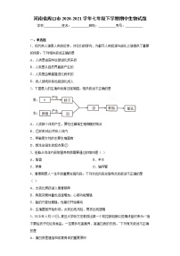 河南省周口市2020-2021学年七年级下学期期中生物试题（word版 含答案）