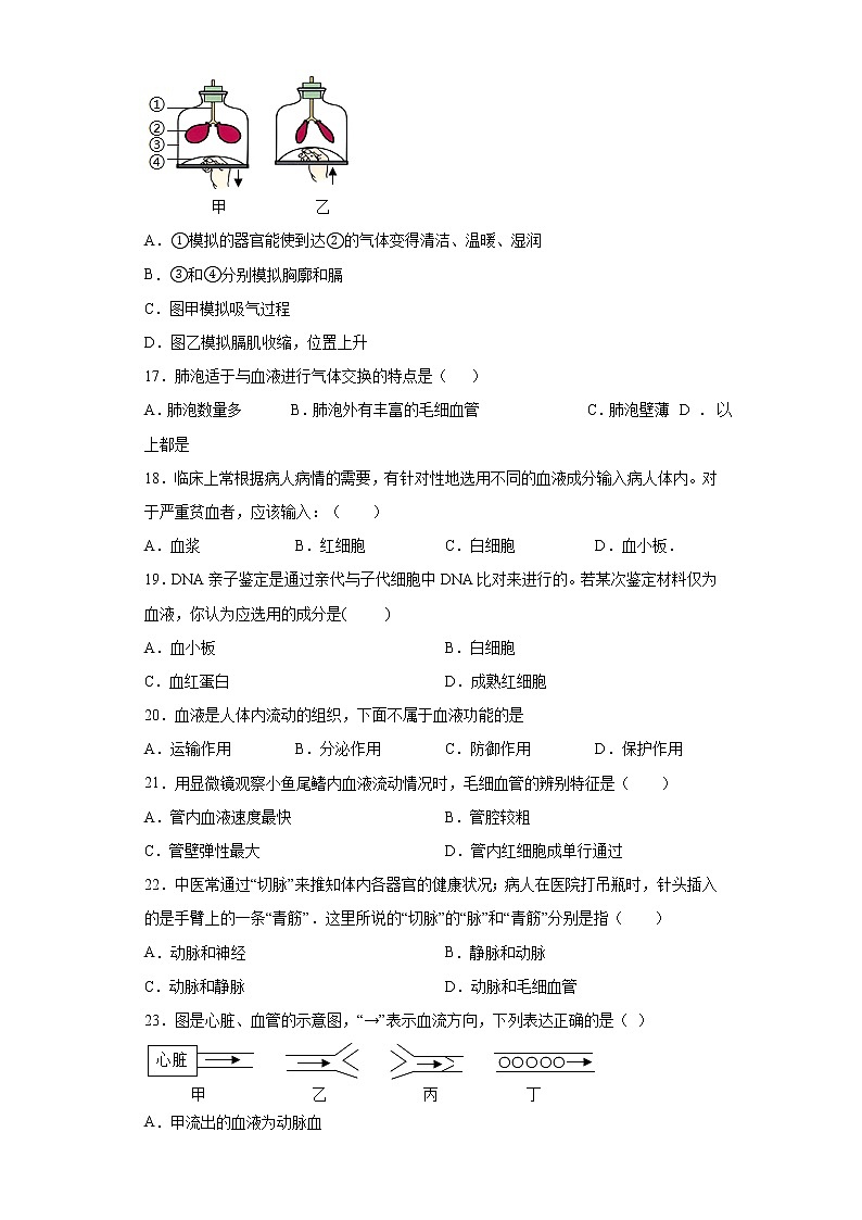 河南省郑州市金水区2020-2021学年七年级下学期期中联考生物试题（word版 含答案）03