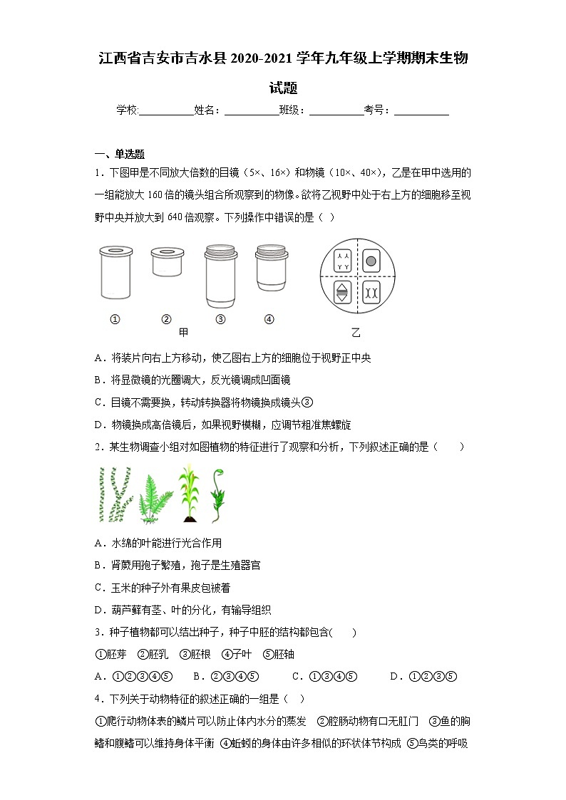 江西省吉安市吉水县2020-2021学年九年级上学期期末生物试题（word版 含答案）01