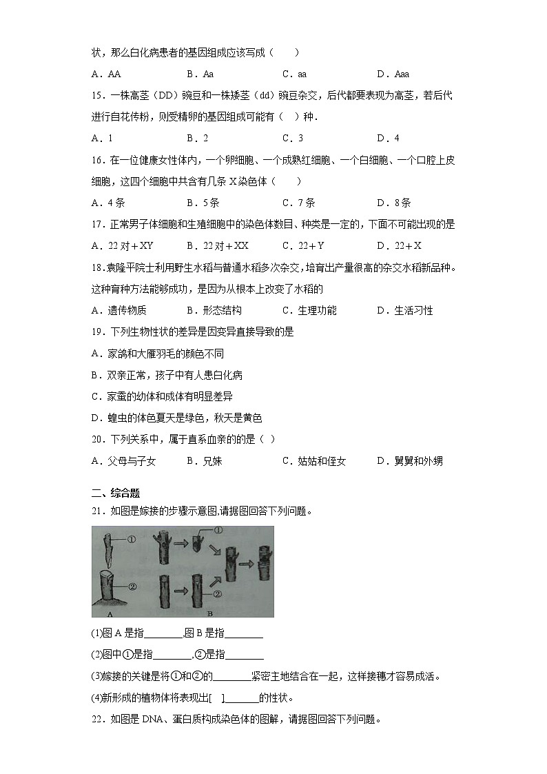 河南省漯河市临颍县2020-2021学年八年级下学期期中生物试题（word版 含答案）03