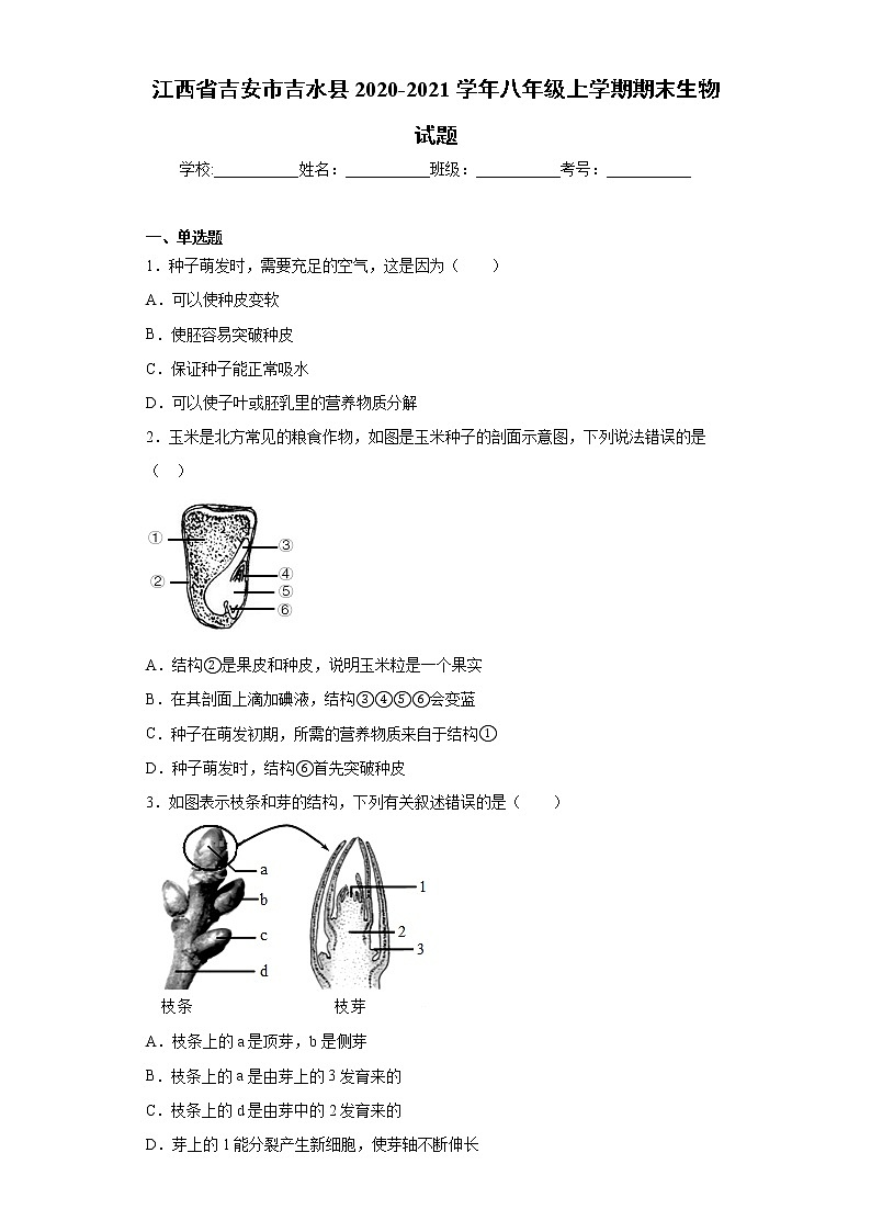 江西省吉安市吉水县2020-2021学年八年级上学期期末生物试题（word版 含答案）01