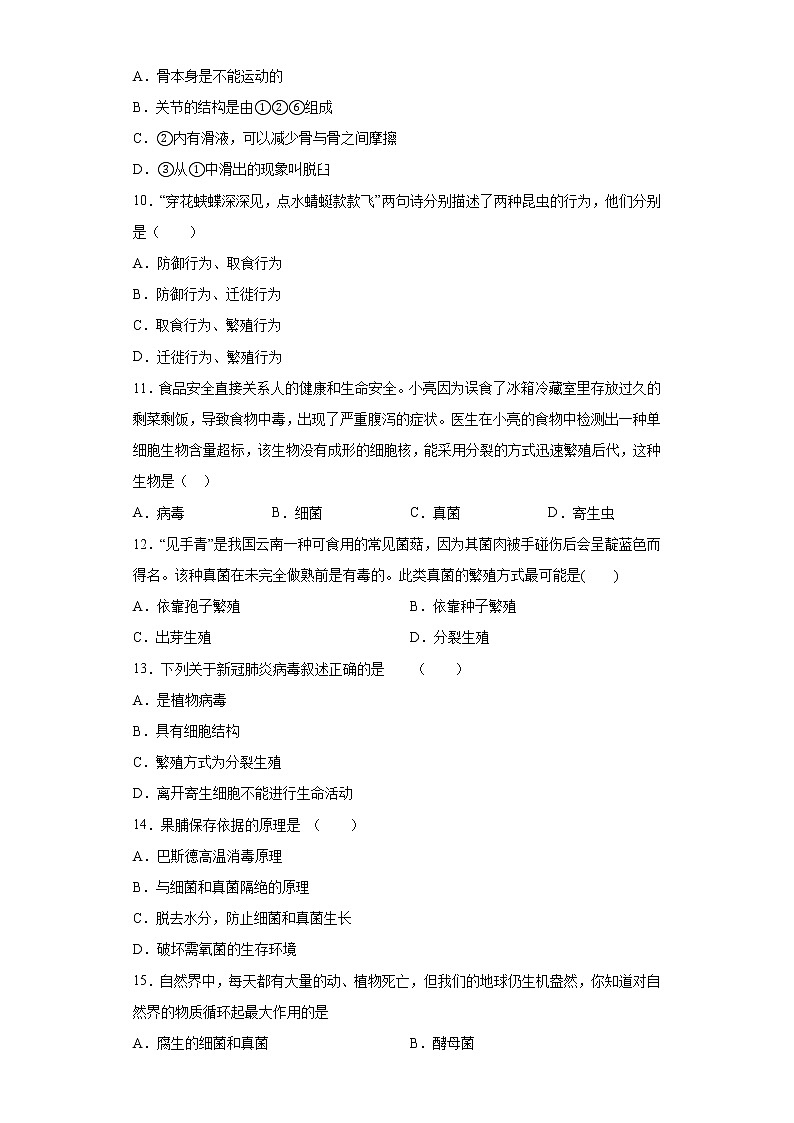 江西省吉安市吉水县2020-2021学年八年级上学期期末生物试题（word版 含答案）03