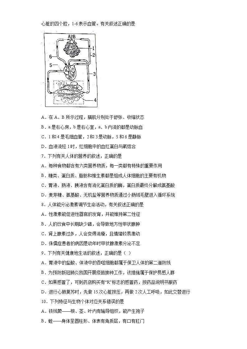 山东省泰安市泰山区2020-2021学年八年级下学期期中生物试题（word版 含答案）02