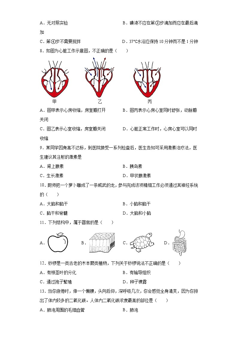 山东省济宁市金乡县2020-2021学年八年级下学期期中生物试题（word版 含答案）02