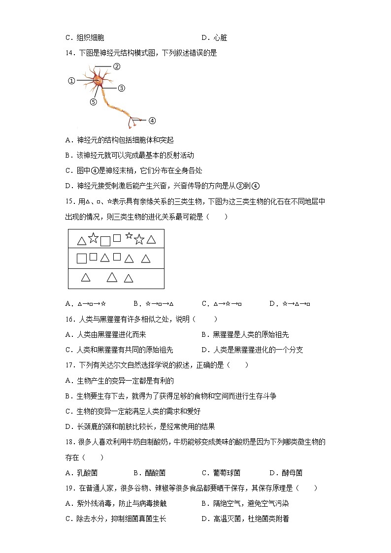 山东省济宁市金乡县2020-2021学年八年级下学期期中生物试题（word版 含答案）03