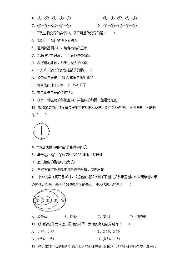 河南省郑州市金水区2020-2021学年八年级下学期期中联考生物试题（word版 含答案）02