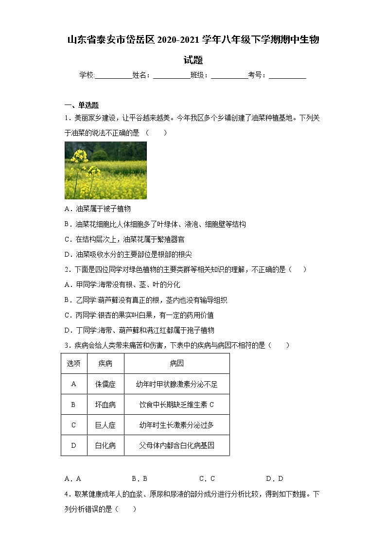 山东省泰安市岱岳区2020-2021学年八年级下学期期中生物试题（word版 含答案）01