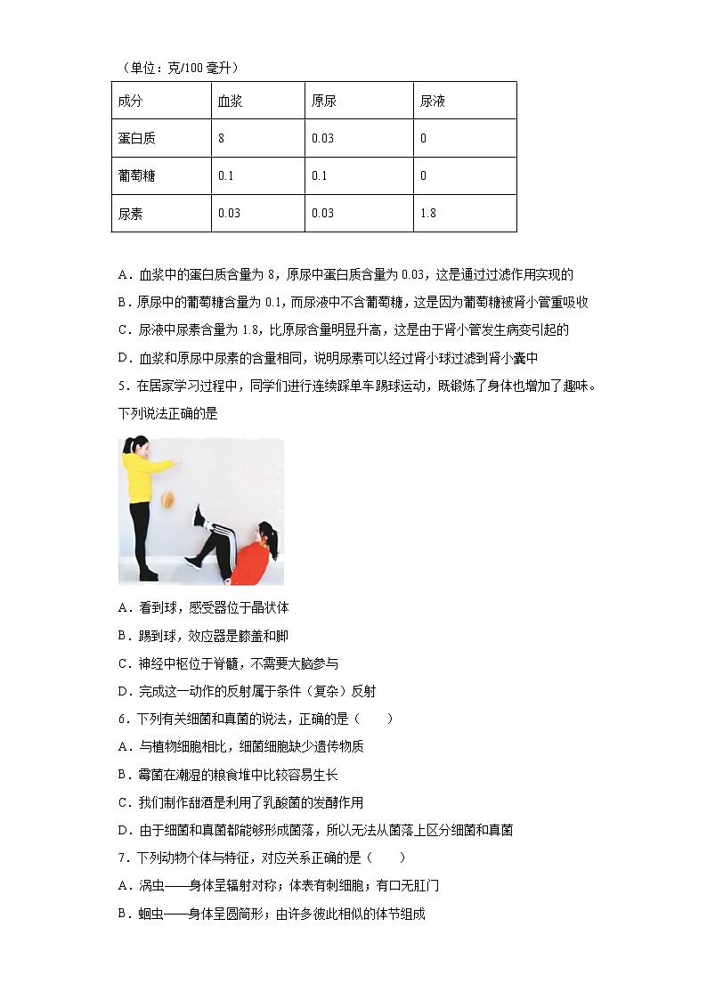 山东省泰安市岱岳区2020-2021学年八年级下学期期中生物试题（word版 含答案）02