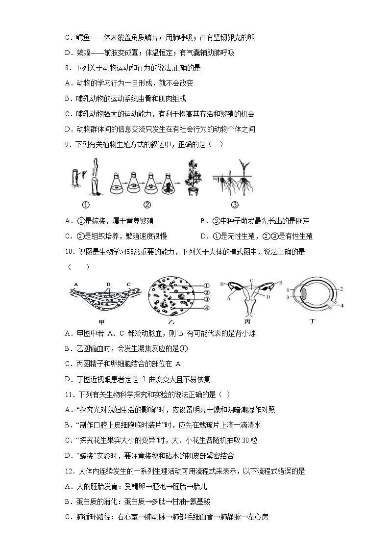 山东省泰安市岱岳区2020-2021学年八年级下学期期中生物试题（word版 含答案）03