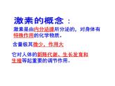 人教版生物七年级下册 4.6.4 激素调节课件（34张PPT）