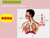 人教版生物七年级下册第四单元第三章 第1节  呼吸道对空气的处理  课件（31张PPT）