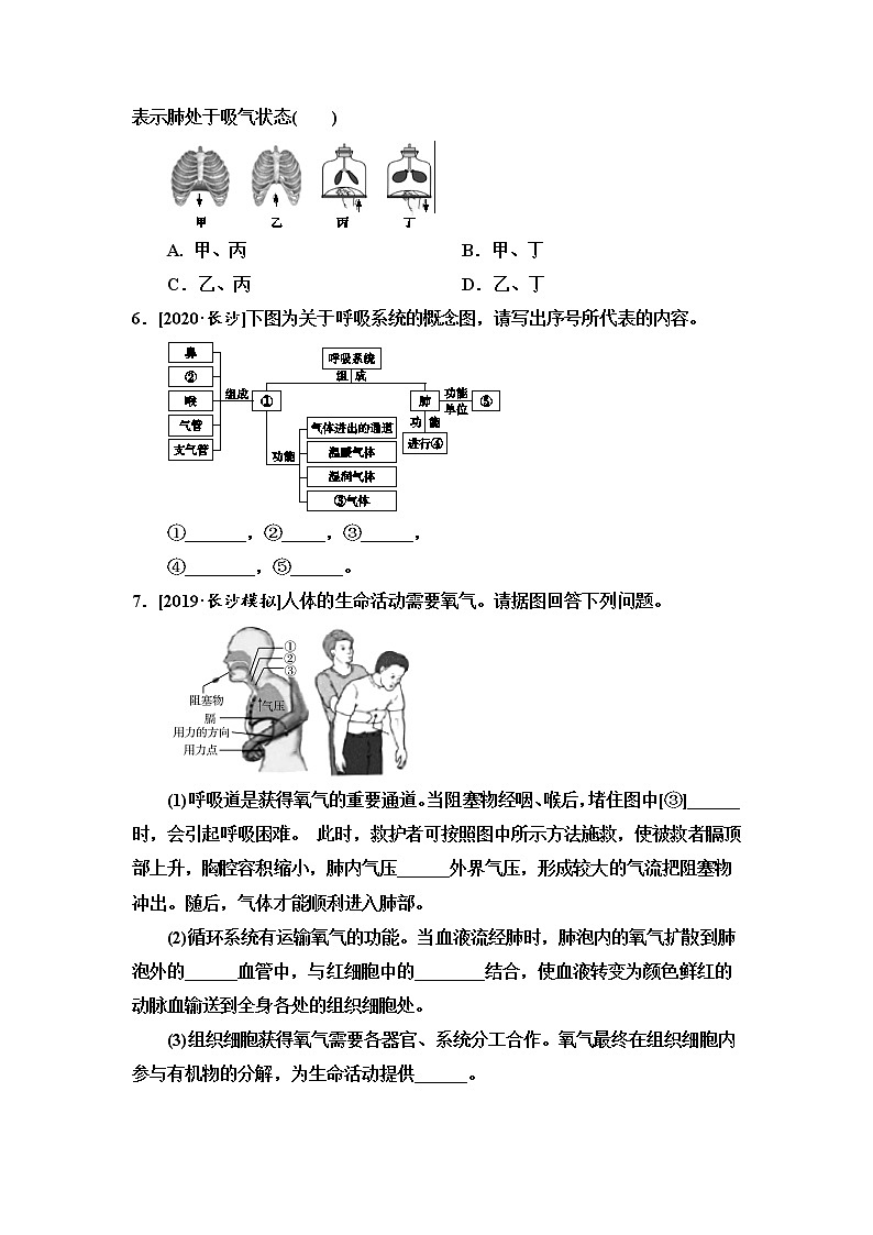 2021年湖南省长沙市中考生物考点过关训练：人体的呼吸（含答案）02