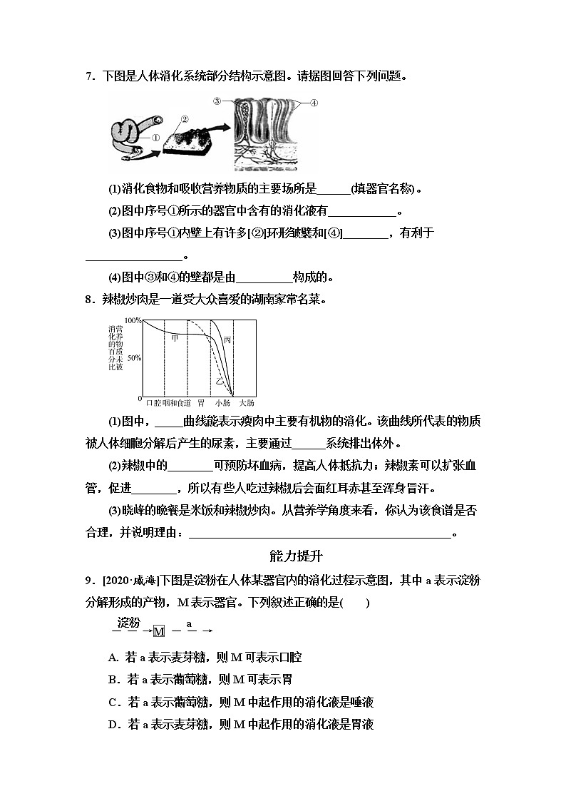 2021年湖南省长沙市中考生物考点过关训练：消化和吸收（含答案）02