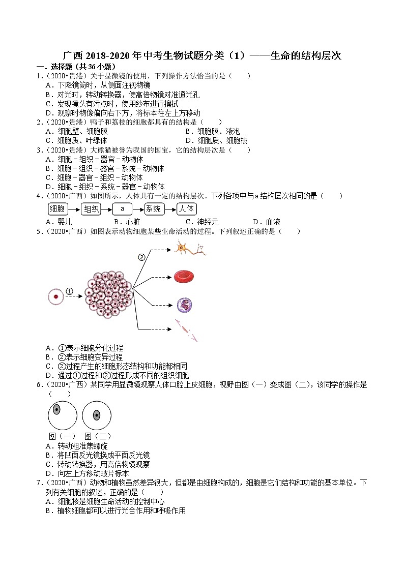 广西2018-2020年中考生物试题分类（1）——生命的结构层次(含解析)01