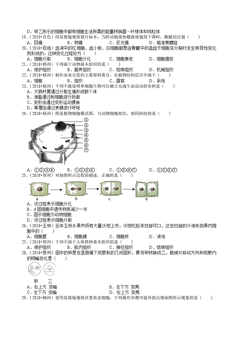 广西2018-2020年中考生物试题分类（1）——生命的结构层次(含解析)03