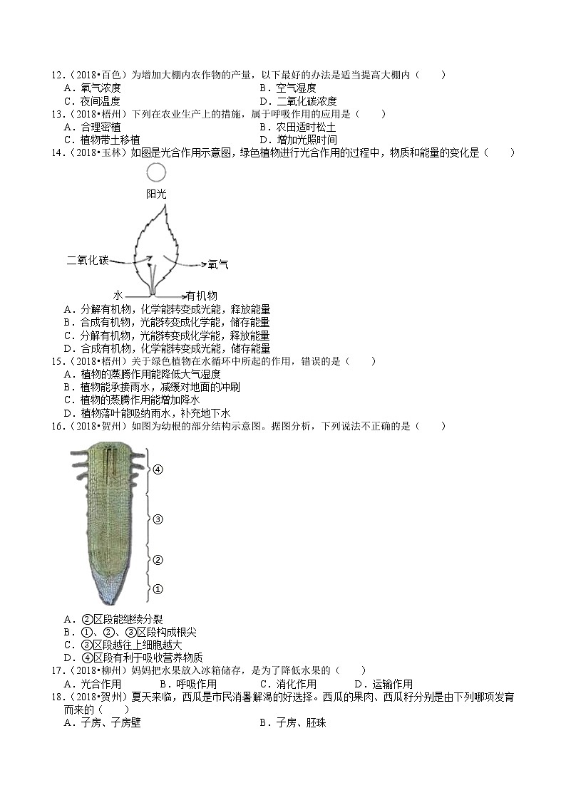 广西2018-2020年中考生物试题分类（3）——生物圈中的植物(含解析)02