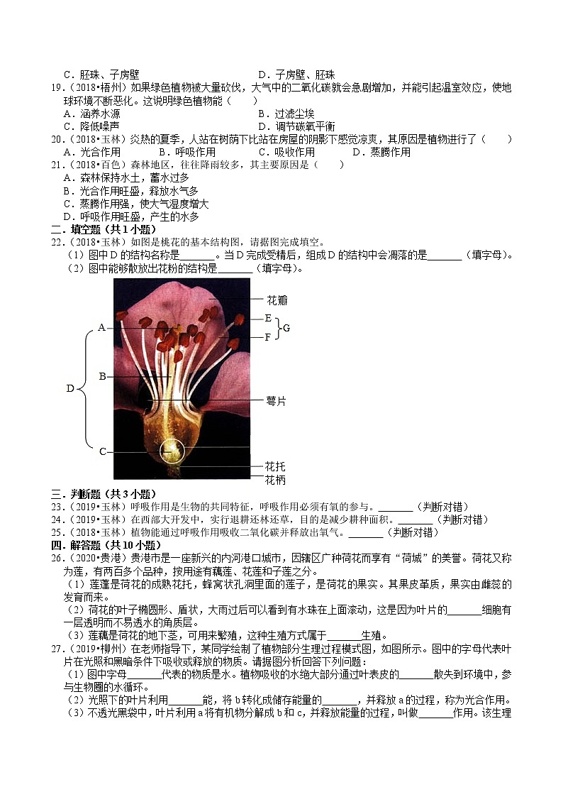 广西2018-2020年中考生物试题分类（3）——生物圈中的植物(含解析)03