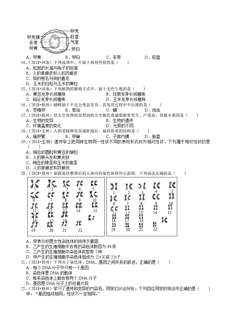 广西2018-2020年中考生物试题分类（5）——生物的生殖、发育、遗传(含解析)02