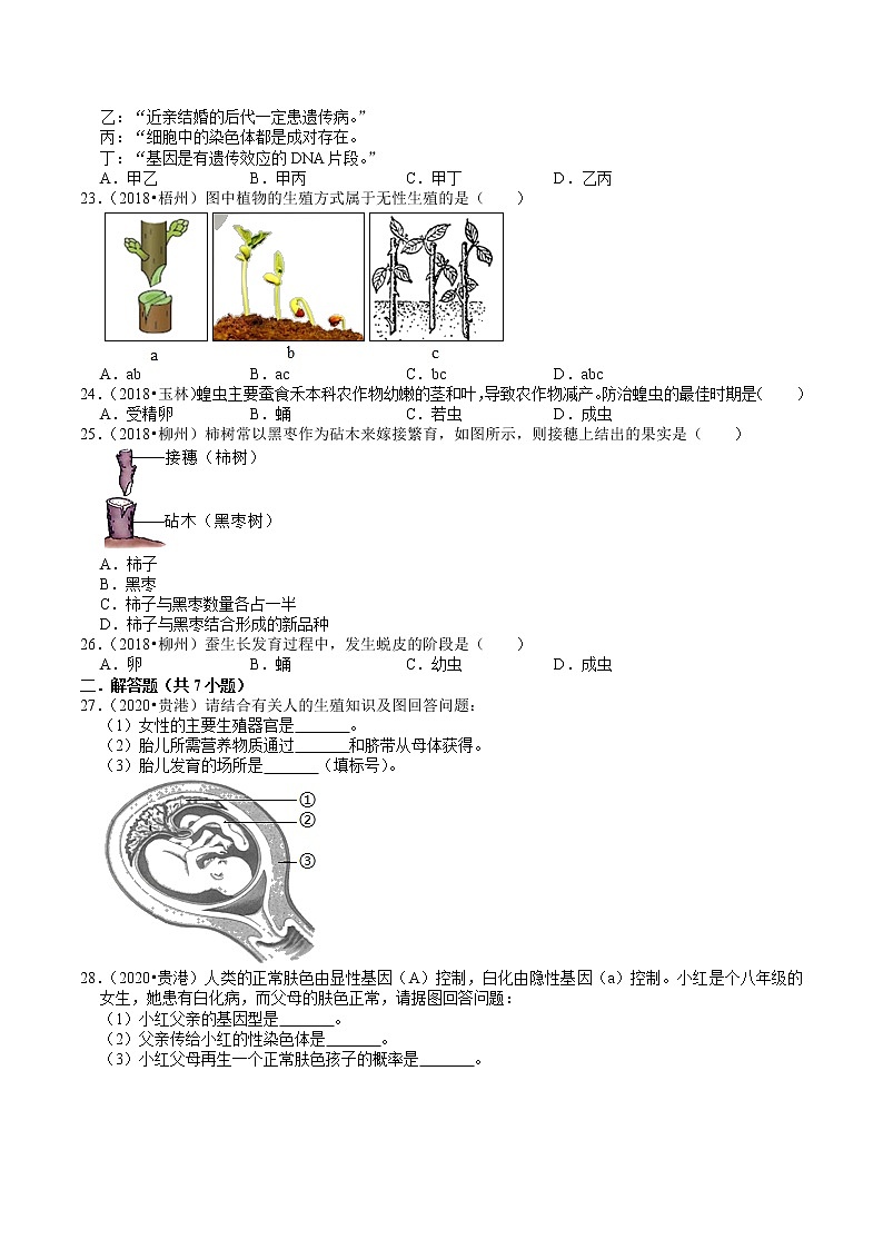 广西2018-2020年中考生物试题分类（5）——生物的生殖、发育、遗传(含解析)03