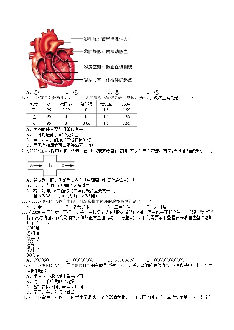 湖北省2018-2020年中考生物试题分类（4）——生物圈中的人(含解析)02