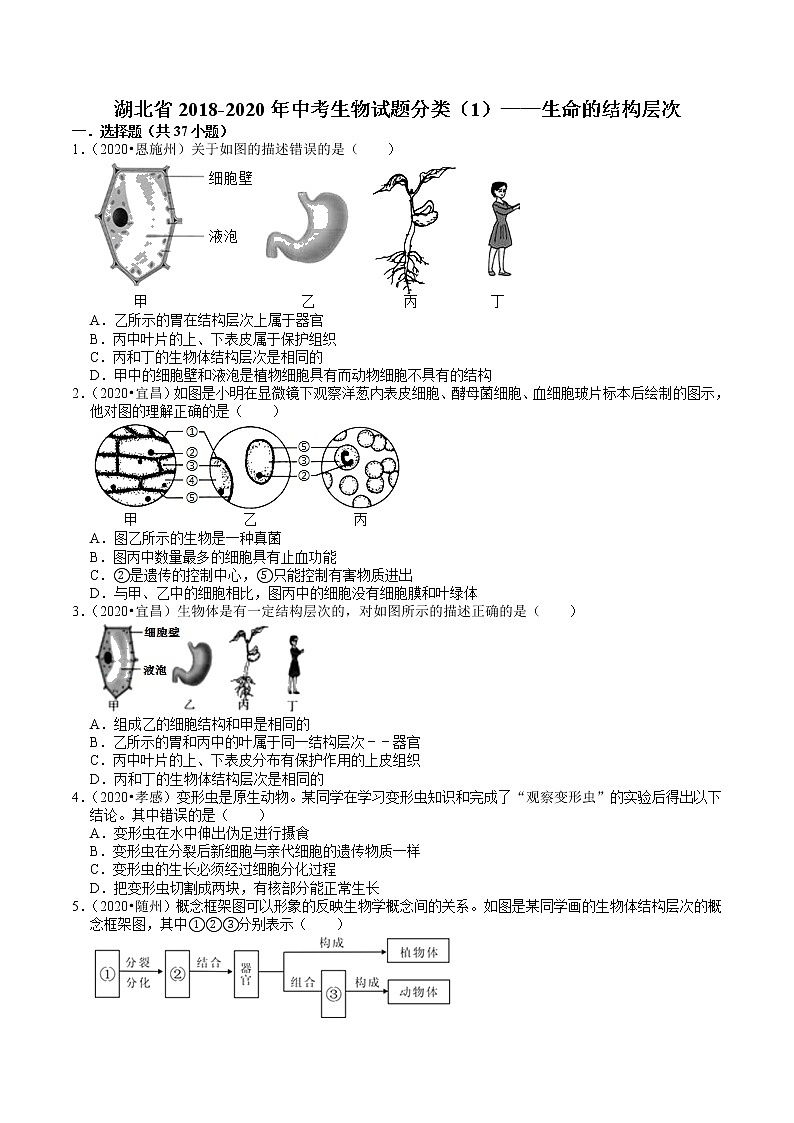湖北省2018-2020年中考生物试题分类（1）——生命的结构层次(含解析)01