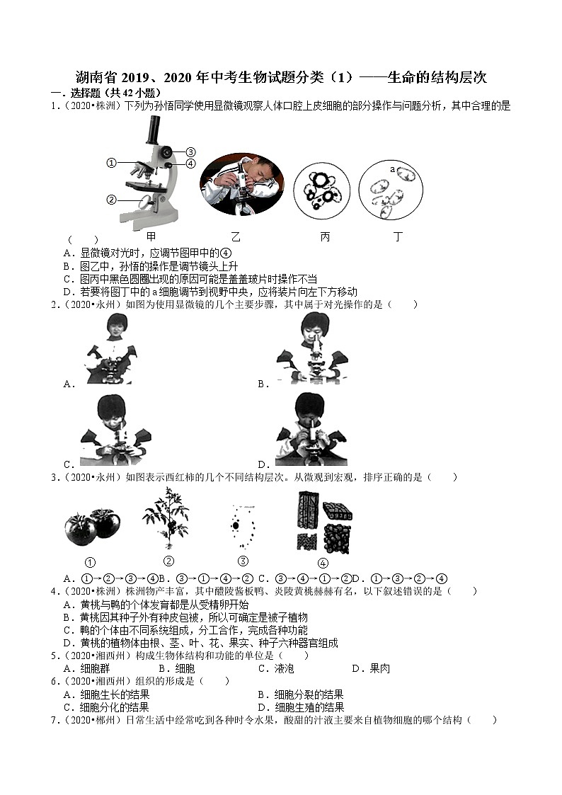 湖南省2019、2020年中考 （1）——生命的结构层次(含解析) 试卷01