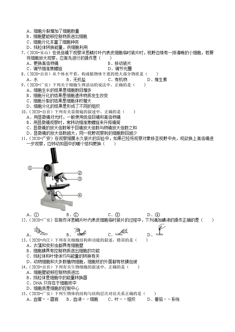四川省2019年、2020年中考生物试题分类（1）——生命的结构层次(含解析)02