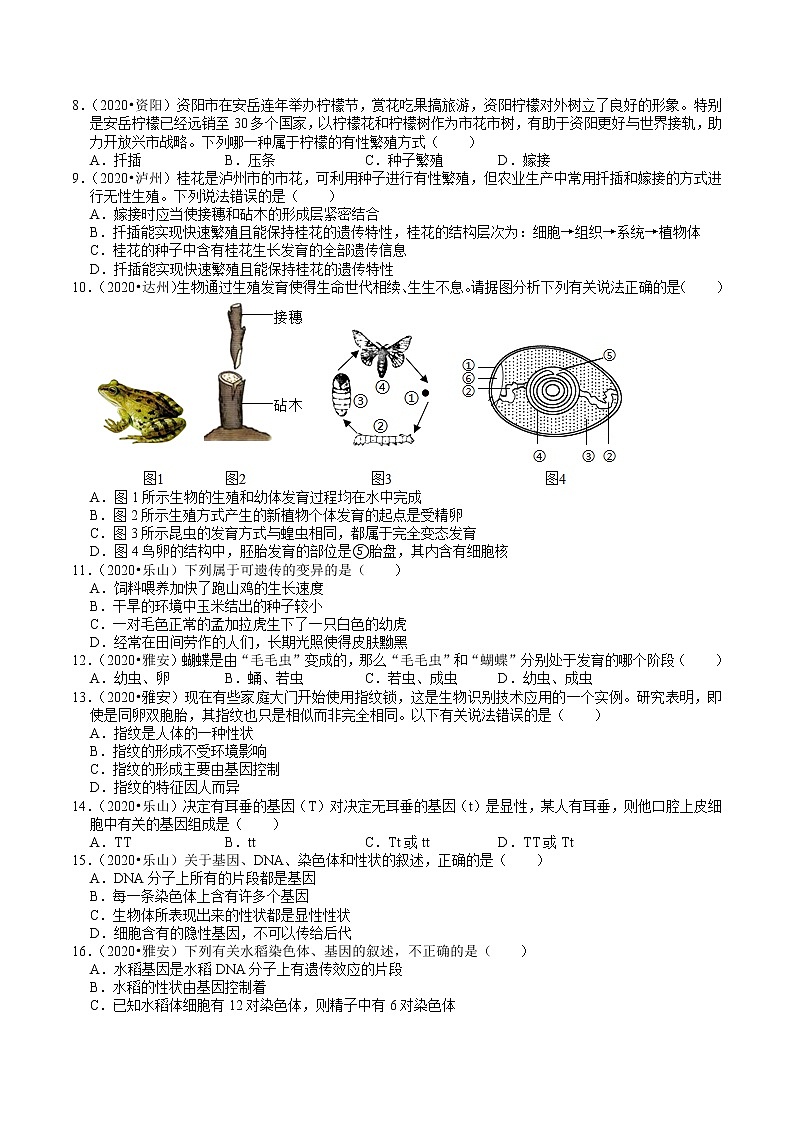 四川省2019年、2020年中考生物试题分类（6）——生物的生殖、发育、遗传(含解析)02
