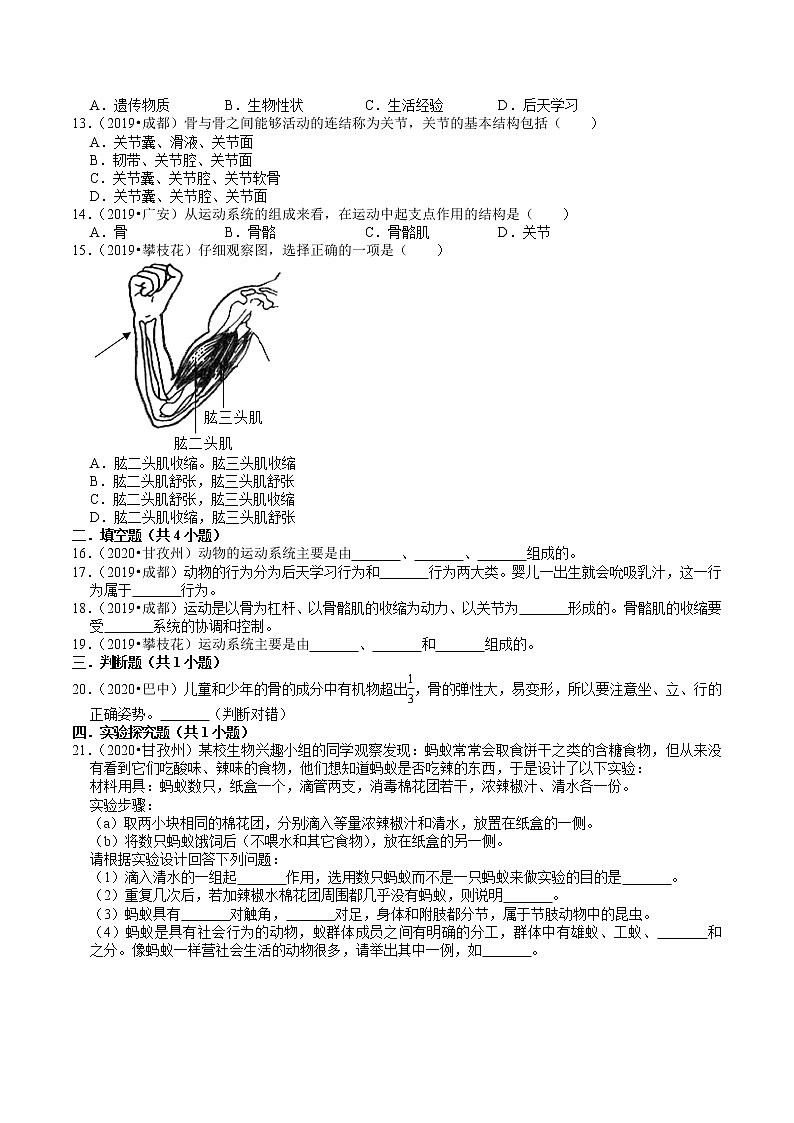 四川省2019年、2020年中考生物试题分类（5）——动物的运动和行为(含解析)02