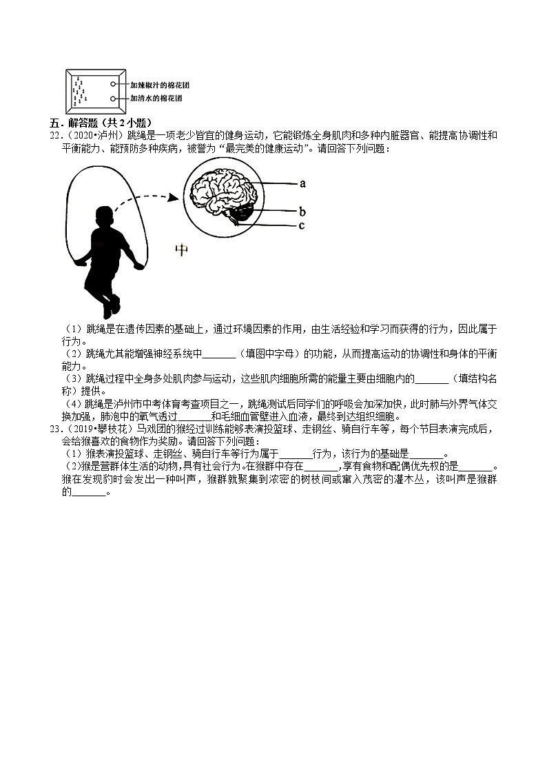 四川省2019年、2020年中考生物试题分类（5）——动物的运动和行为(含解析)03