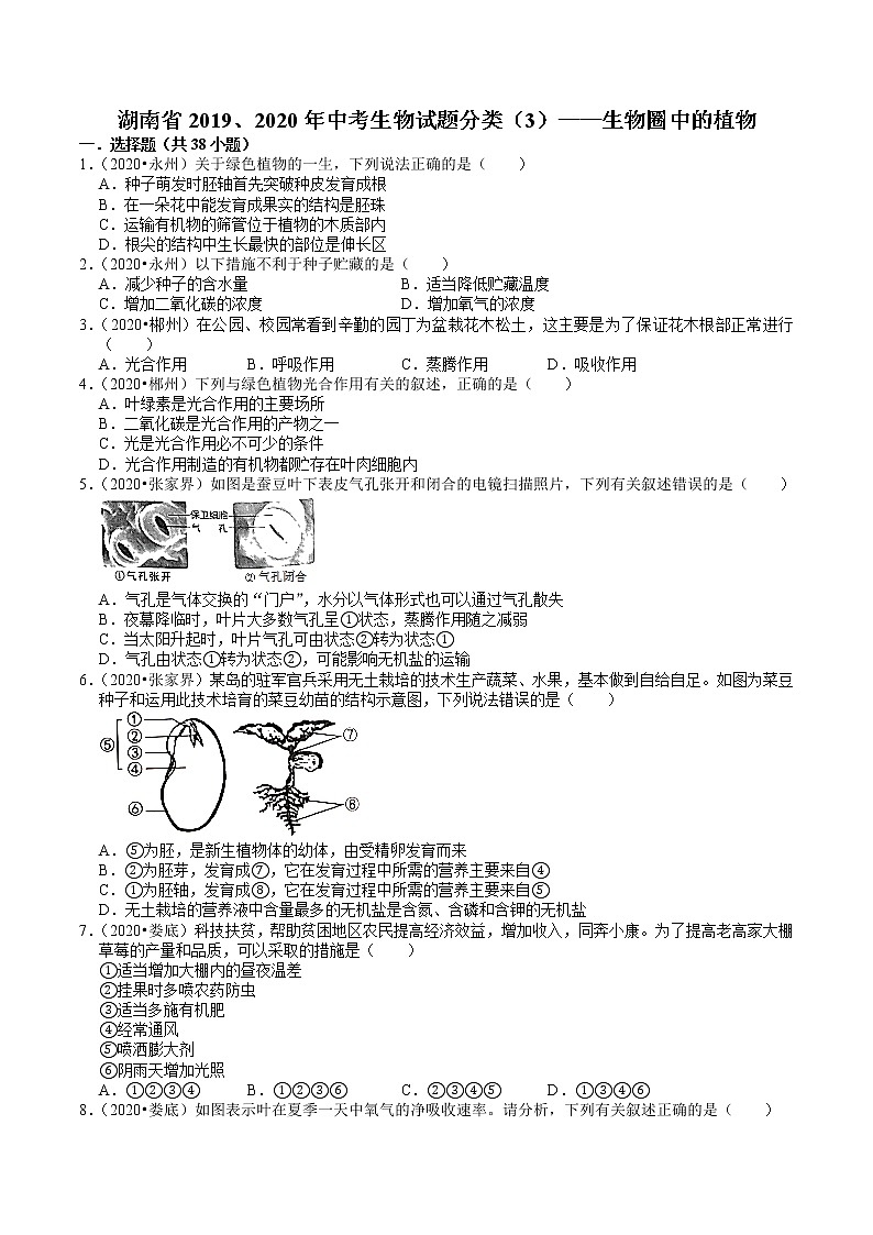 湖南省2019、2020年中考 （3）——生物圈中的植物(含解析) 试卷01