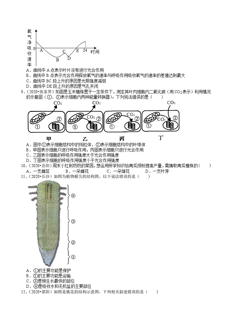 湖南省2019、2020年中考 （3）——生物圈中的植物(含解析) 试卷02