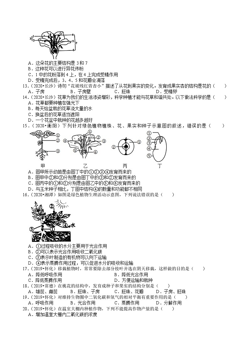 湖南省2019、2020年中考 （3）——生物圈中的植物(含解析) 试卷03