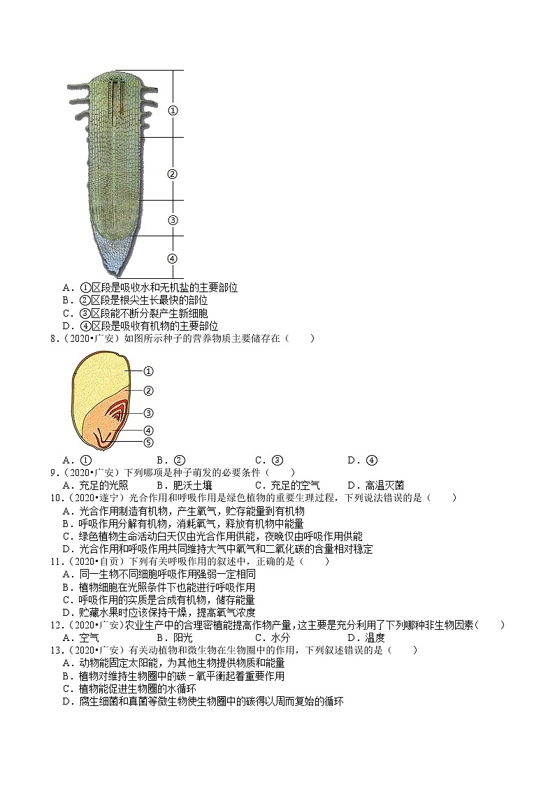 四川省2019年、2020年中考生物试题分类（3）——生物圈中的植物(含解析)02